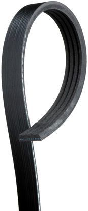 Picture of 4K365 Standard Serpentine Belt  BY ACDelco