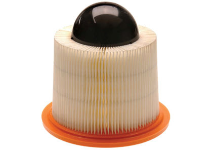 Picture of A1517CF Durapack Air Filter BY ACDelco