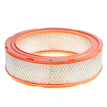 Picture of A1194CA Air Filter  BY ACDelco