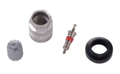 Picture of 20019 TPMS Service Pack  By SCHRADER ELECTRONICS