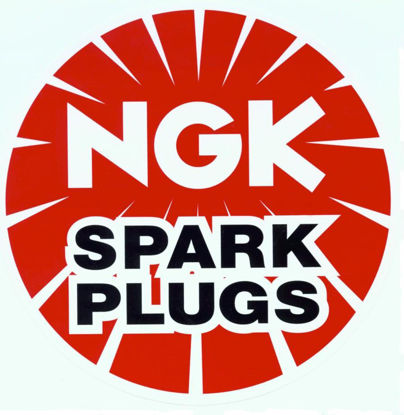 Picture of 93175 Iridium IX Spark Plug  By NGK
