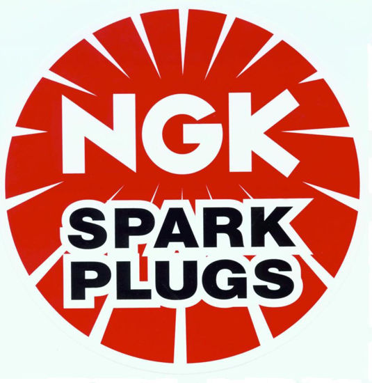 Picture of 93175 Iridium IX Spark Plug  By NGK