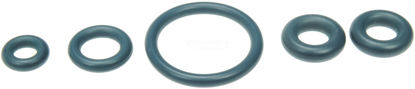 Picture of 904-498 Fuel Filter Housing Seal Kit  By DORMAN OE SOLUTIONS
