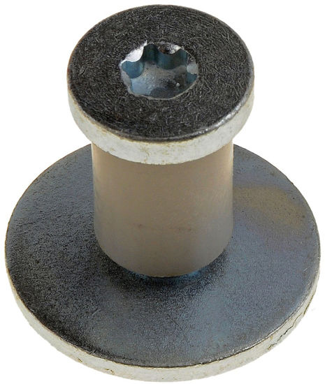 Picture of 38421 Door Lock Striker  By DORMAN-HELP