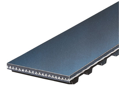 Picture of TB282 BELT TMG BY ACDelco
