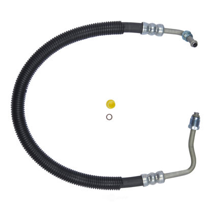 Picture of 71431 71431 PRESSURE HOSE By EDELMANN