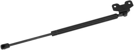 Picture for category Lift Supports