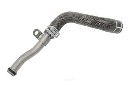 Picture of 55583808 HOSE ASM-ENG OIL CLR COOL OTLT By GM GENUINE PARTS CANADA